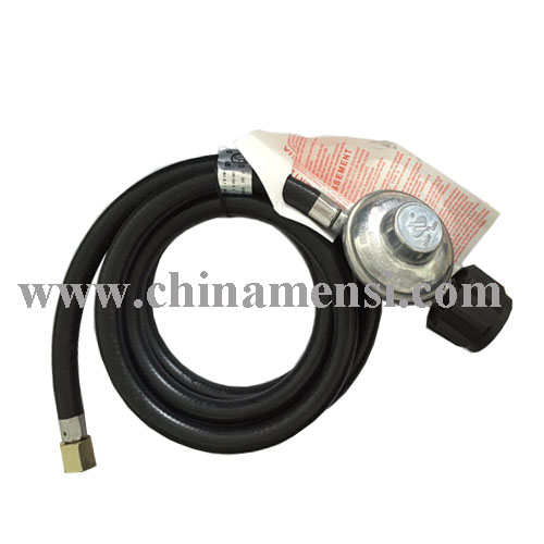 Gas Regulator with Hose